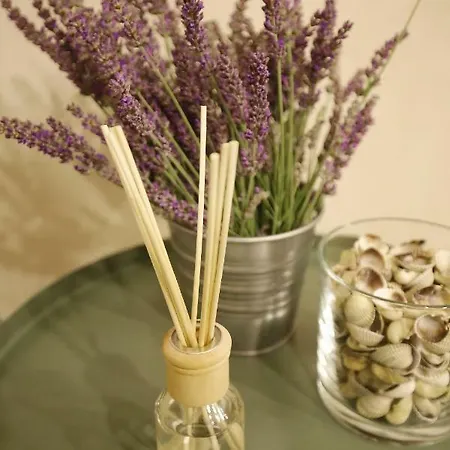Baredine Apartman *