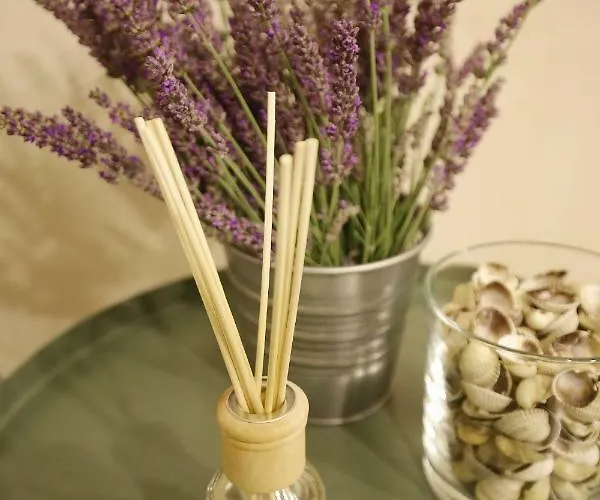 Baredine アパート *