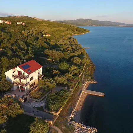 Baredine * Maslenica