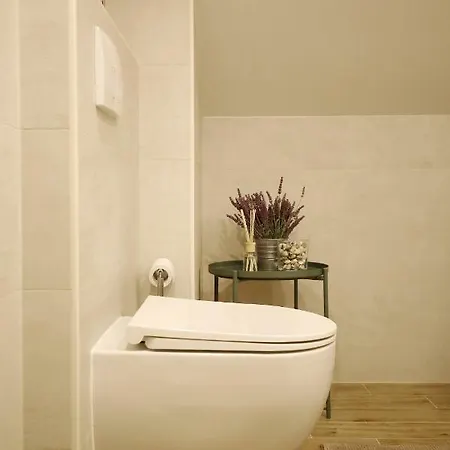 Apartment Baredine Maslenica