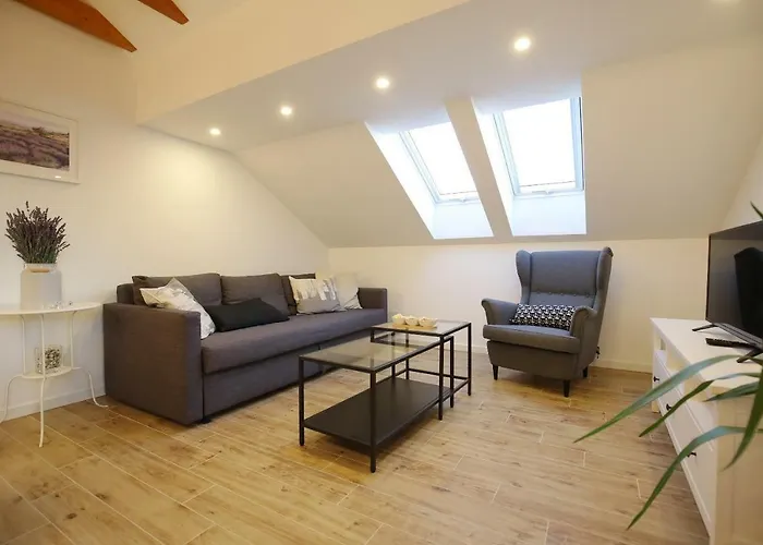 Baredine Масленица