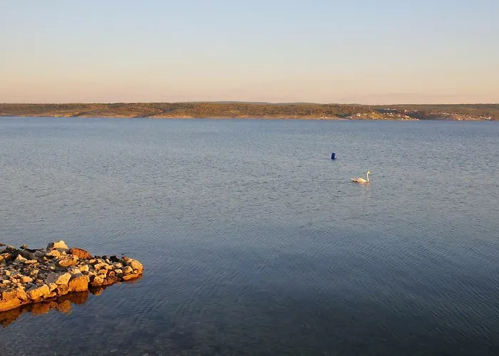 Baredine Масленица