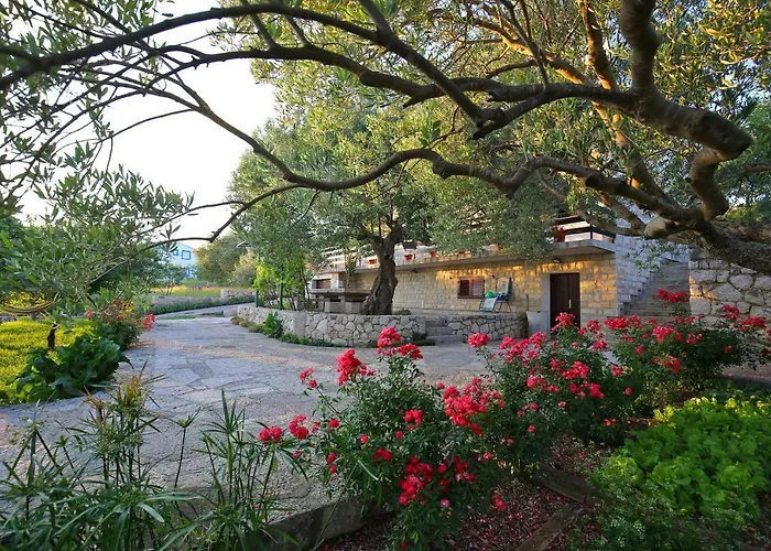 Apartmán Baredine