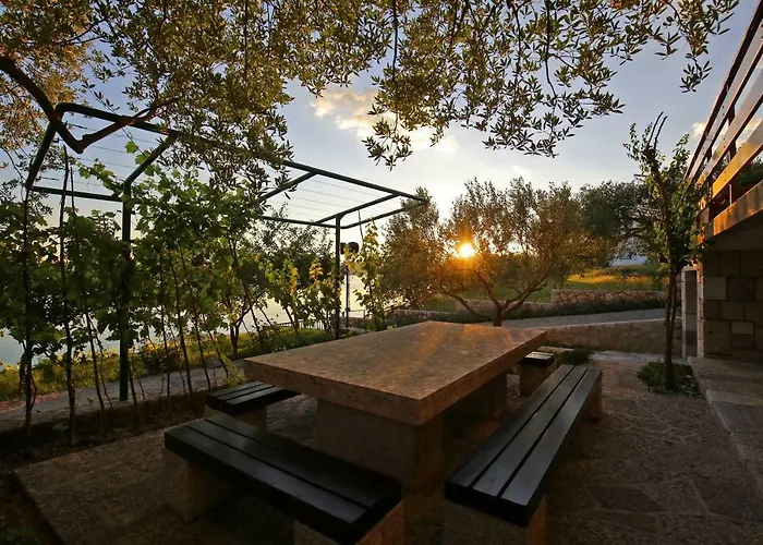 Baredine Масленица